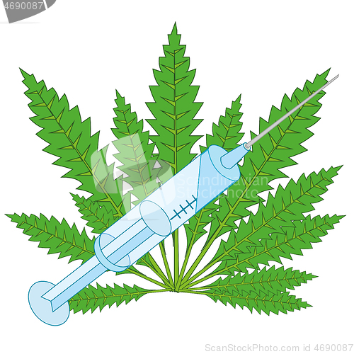 Image of Vector illustration of the plant hemp drug and syringe