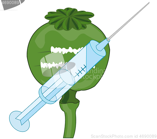 Image of Head opium poppy and syringe with drug