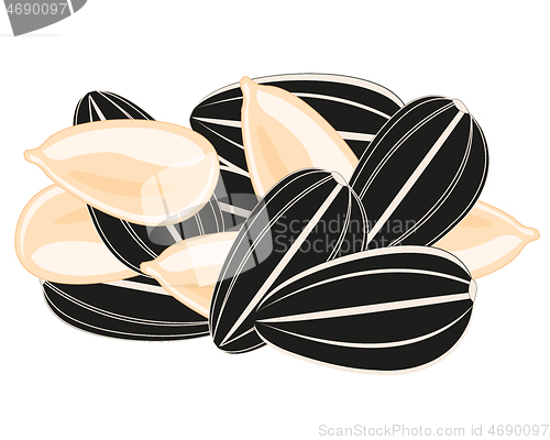 Image of Sunflower seeds on white background is insulated