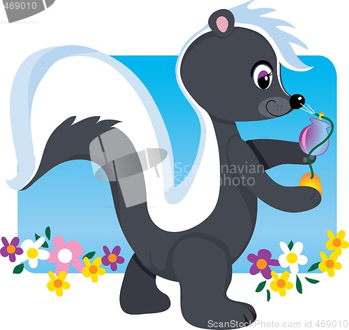 Image of Skunk