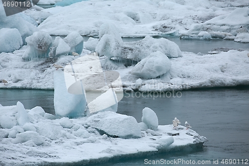 Image of Glacial lake in Iceland