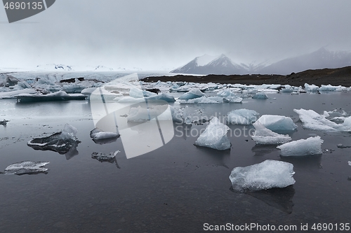 Image of Glacial lake with icebergs