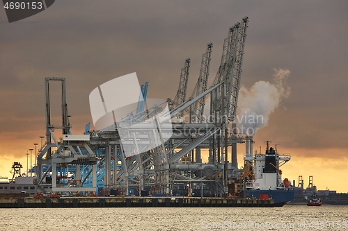 Image of Container Dock in Rotterdam