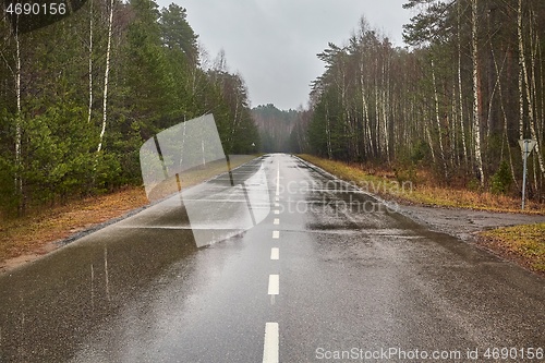 Image of Autumn Wet Road