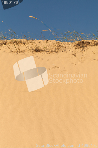 Image of Yellow desert sand texture with grass and sky on the top.