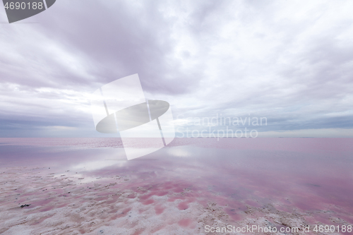 Image of Quiet scene of pink water of salt lake.