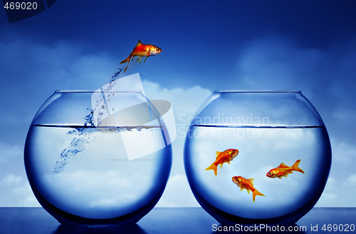 Image of goldfish jumping out of the water