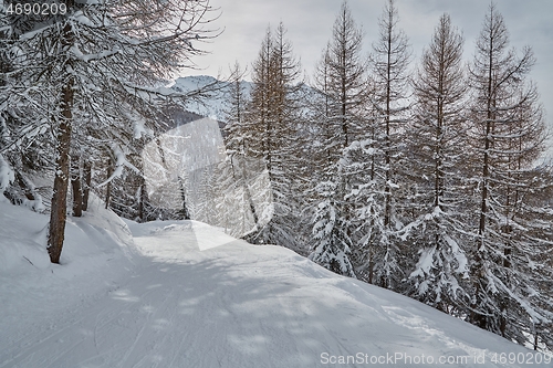 Image of Winter Snowy Mountain Landscape