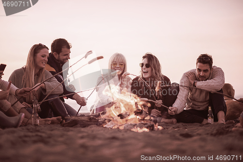 Image of Group Of Young Friends Sitting By The Fire at beach