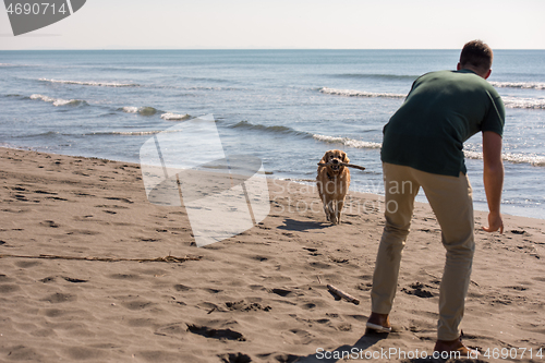 Image of man with dog enjoying free time on the beach