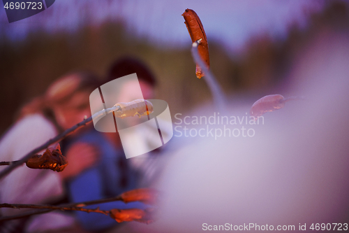 Image of Group Of Young Friends Sitting By The Fire at beach