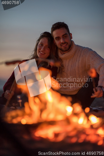 Image of Group Of Young Friends Sitting By The Fire at beach