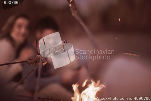 Image of Group Of Young Friends Sitting By The Fire at beach