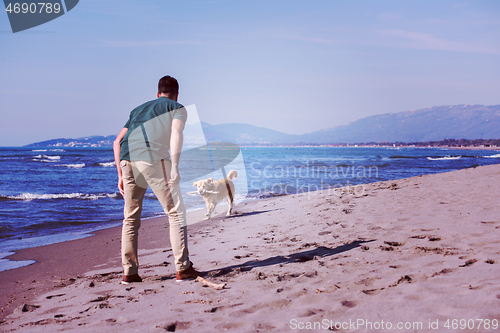 Image of man with dog enjoying free time on the beach