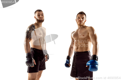 Image of Two professional boxers boxing isolated on white studio background