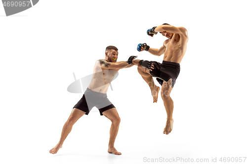 Image of Two professional boxers boxing isolated on white studio background