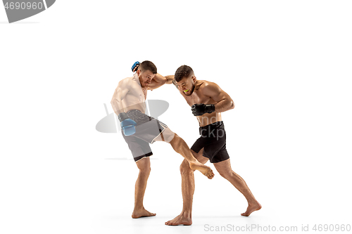 Image of Two professional boxers boxing isolated on white studio background