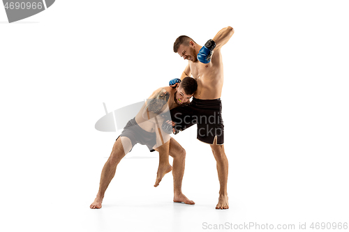 Image of Two professional boxers boxing isolated on white studio background