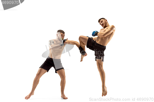 Image of Two professional boxers boxing isolated on white studio background