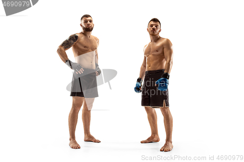 Image of Two professional boxers boxing isolated on white studio background