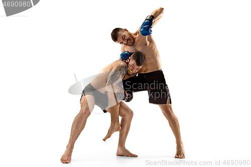 Image of Two professional boxers boxing isolated on white studio background