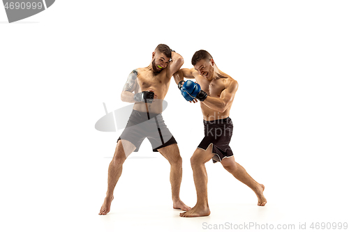 Image of Two professional boxers boxing isolated on white studio background