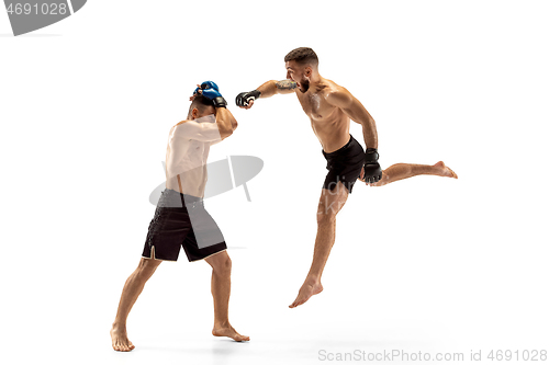 Image of Two professional boxers boxing isolated on white studio background