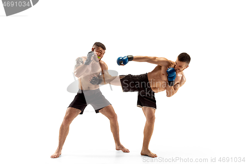 Image of Two professional boxers boxing isolated on white studio background