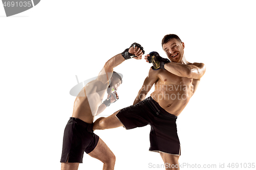 Image of Two professional boxers boxing isolated on white studio background