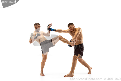 Image of Two professional boxers boxing isolated on white studio background