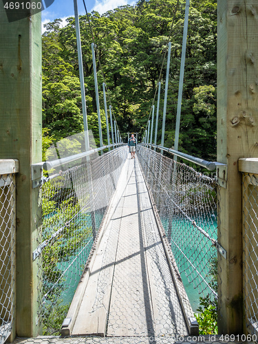 Image of Haast River Landsborough Valley New Zealand