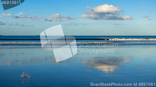 Image of Bay Of Plenty