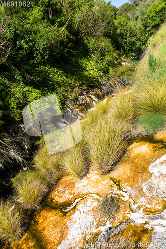 Image of volcanic activities at waimangu