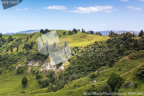 Image of landscape Matamata