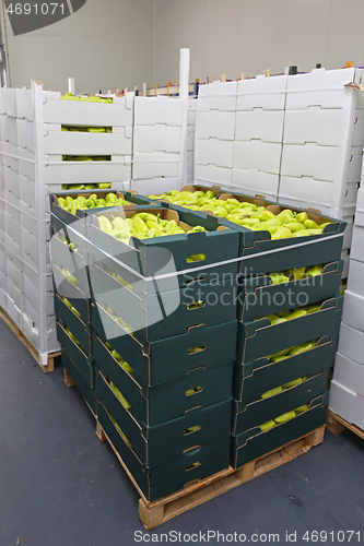 Image of Peppers Pallet