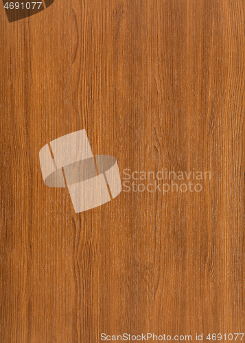 Image of wood grain surface