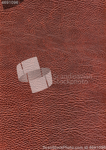 Image of full frame leather background