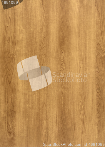 Image of wood grain surface