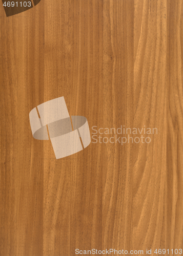 Image of wood grain surface