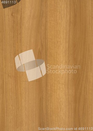 Image of wood grain surface