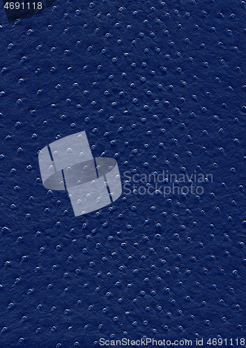 Image of ostrich leather surface