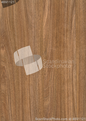 Image of wood grain surface