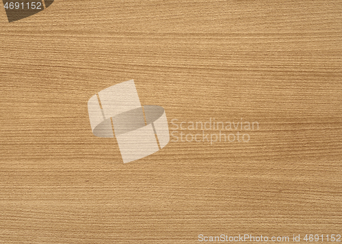Image of wood grain surface