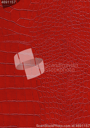 Image of reptile skin surface