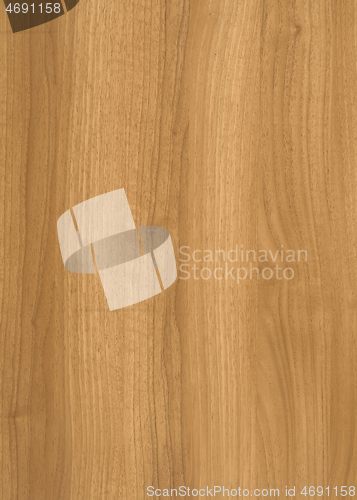 Image of wood grain surface