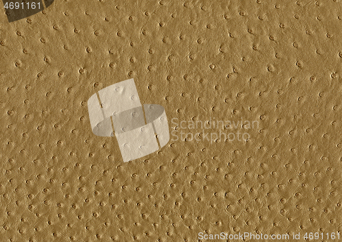 Image of ostrich leather surface