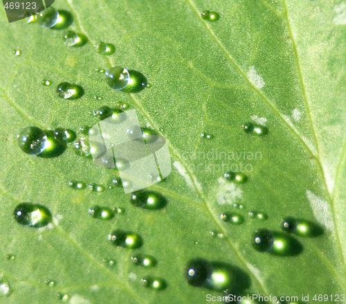 Image of water drops background