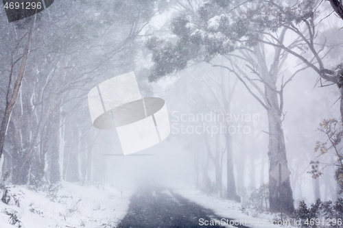 Image of Blizzard snow conditions along a road near Oberon, Australia