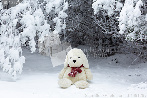Image of Stuffed bear wearing a woman\'s knit scarf in the snow