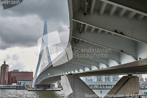 Image of Rotterdam sightseeing near the center, bridge structure